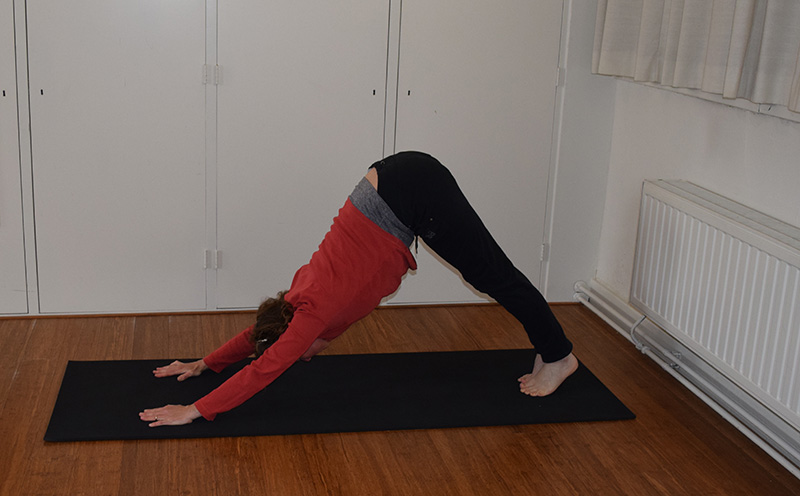 AdemLink - Hatha Yoga lessen - Soepel lichaam - Vitaal gevoel - V2